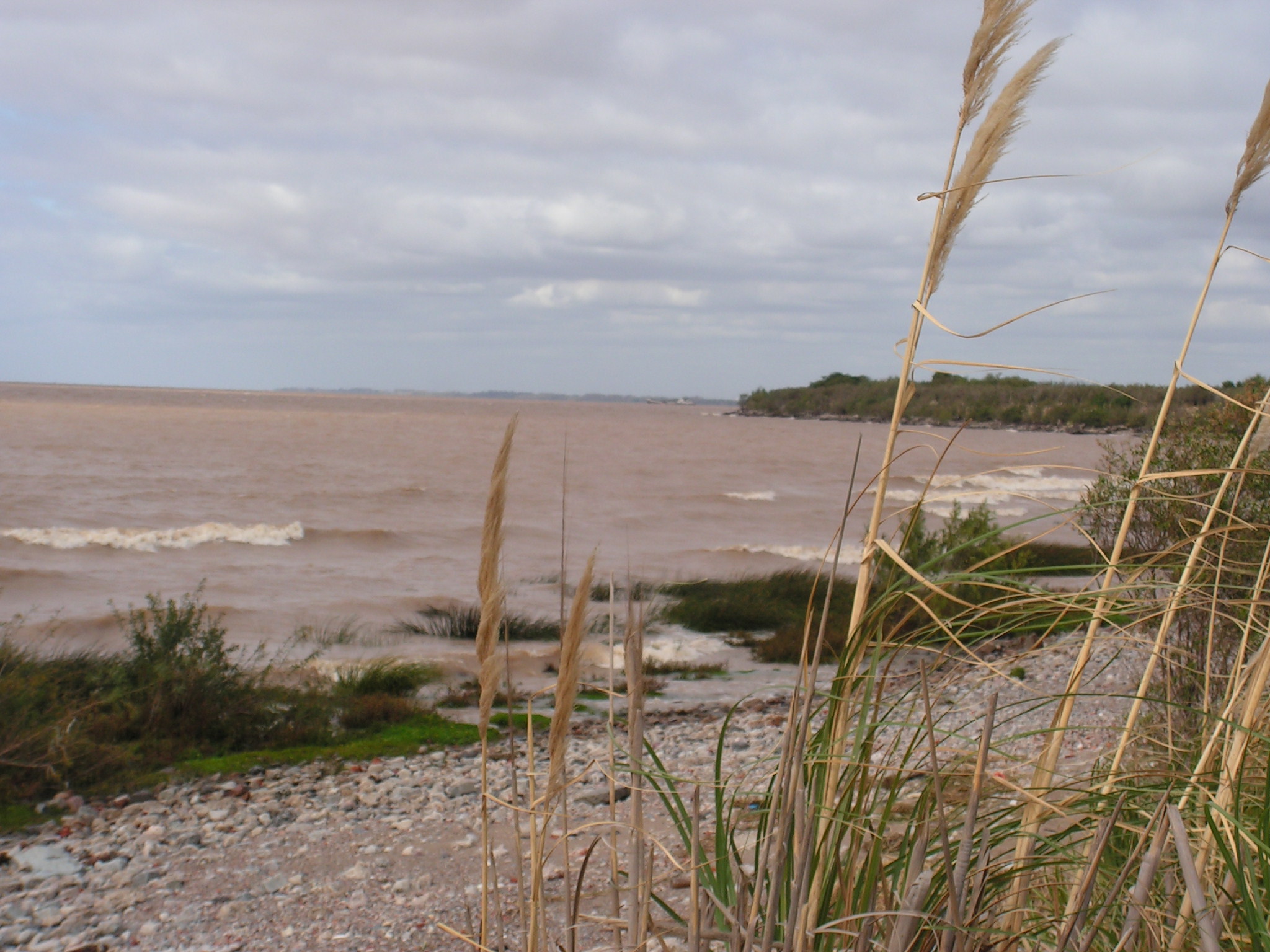 Pict0030.jpg