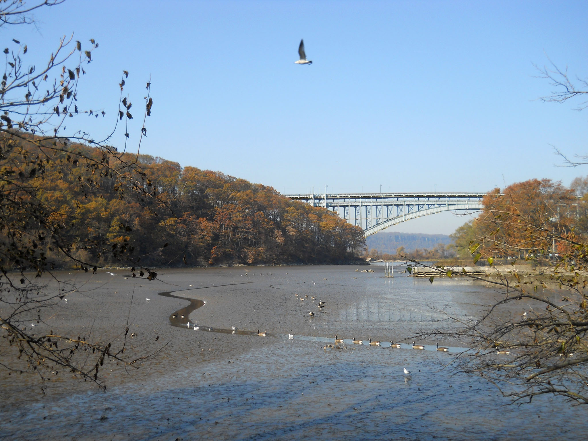 DSCN3056.jpg