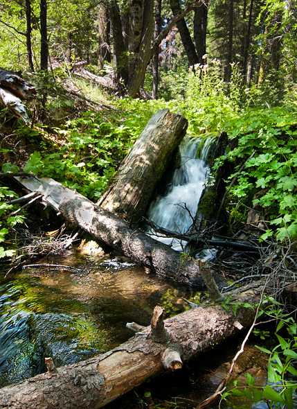 Nelder Grove Waterfall