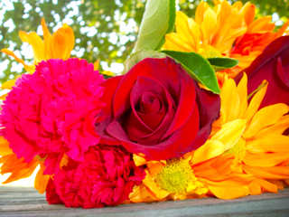 porterflowers1.jpg