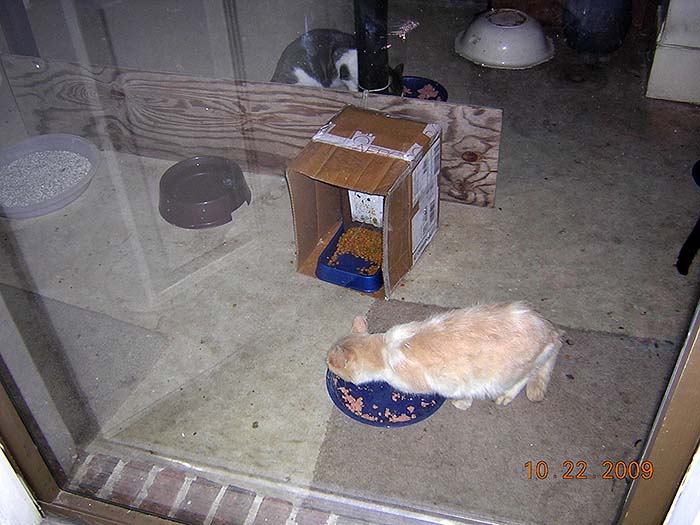 DSCN0864.jpg