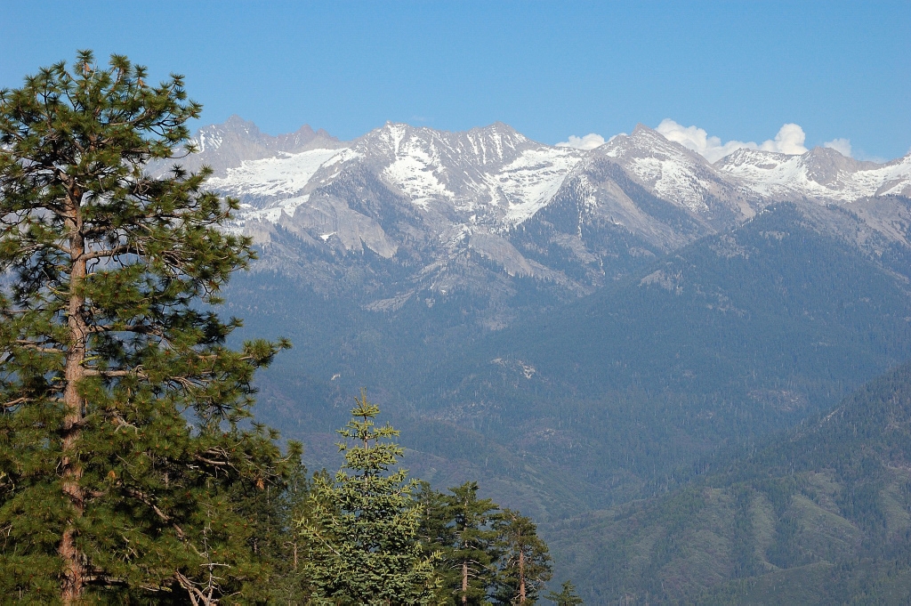 DSC_8656.jpg