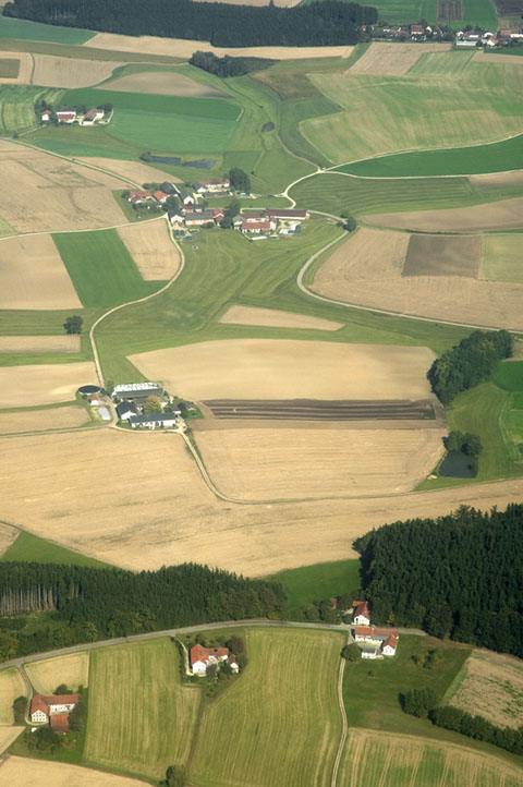 DSC_7703.jpg