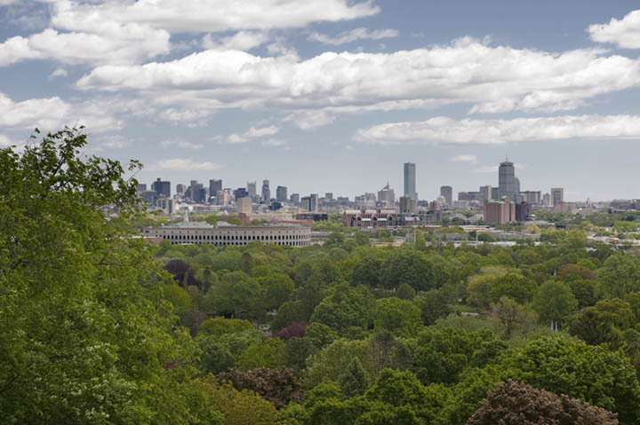 Boston from Mt. Auburn, Cambridge