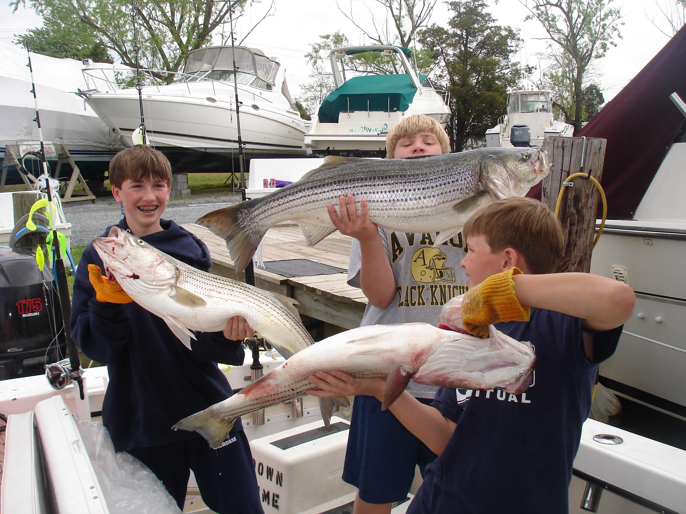 04/25/2010 Altemus Family Charter