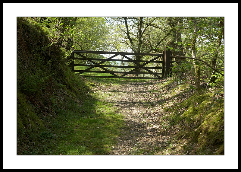 Country gate