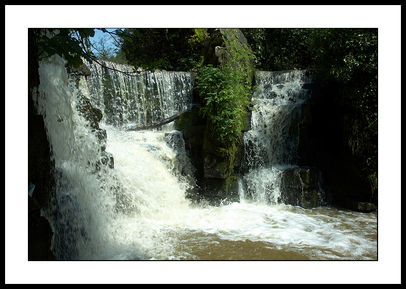 Gushing