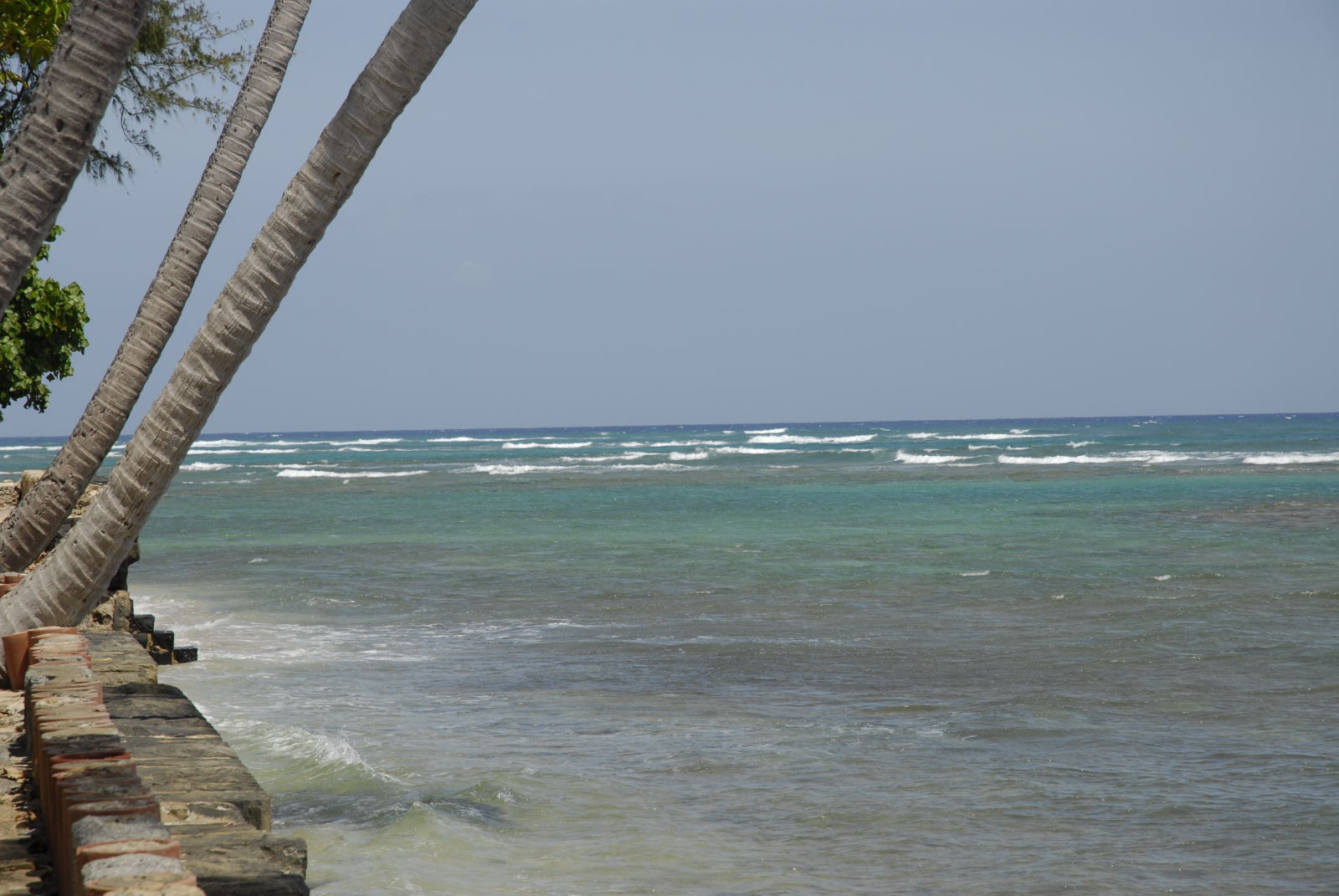RF_062.JPG