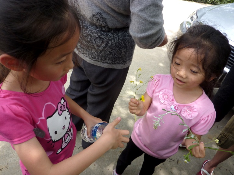 P1020124.JPG