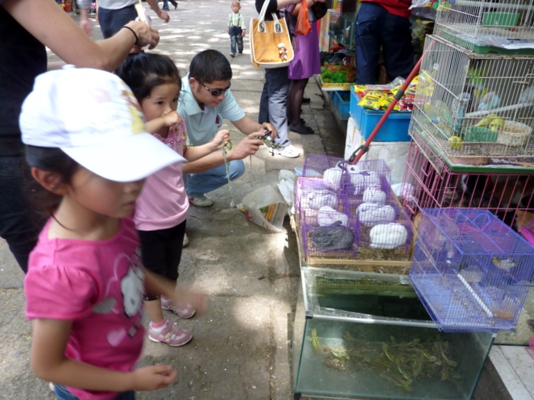 P1020126.JPG