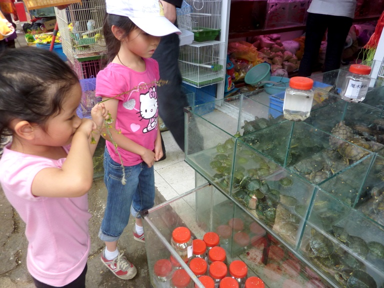 P1020127.JPG