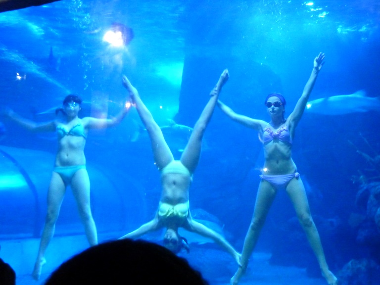 P1020391.JPG