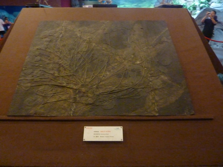 P1020841.JPG
