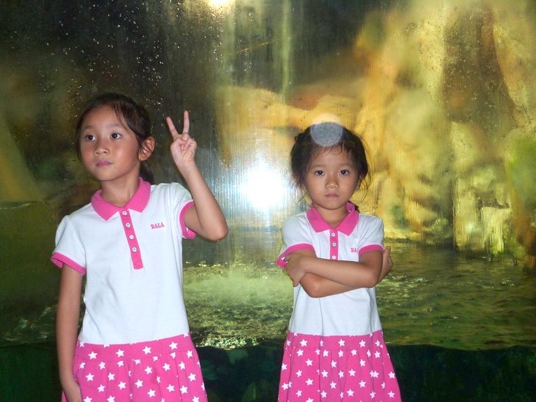 P1020845.JPG