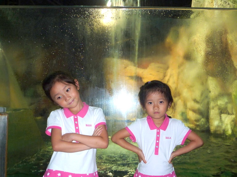 P1020846.JPG