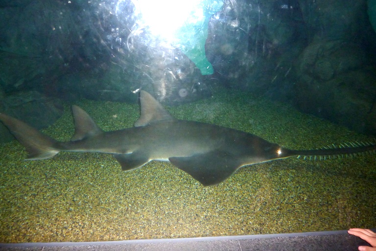 P1020847.JPG