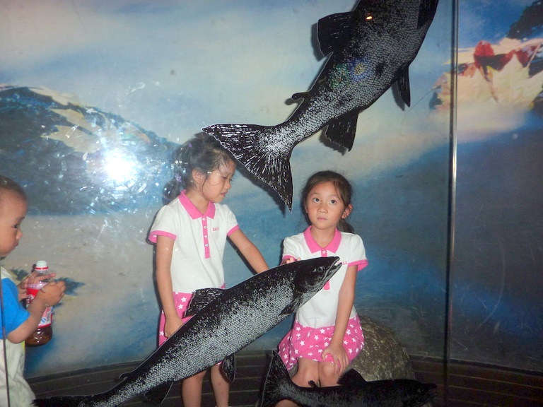 P1020851.JPG