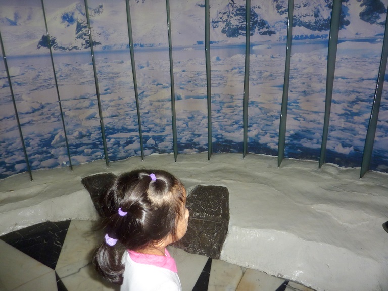 P1020859.JPG