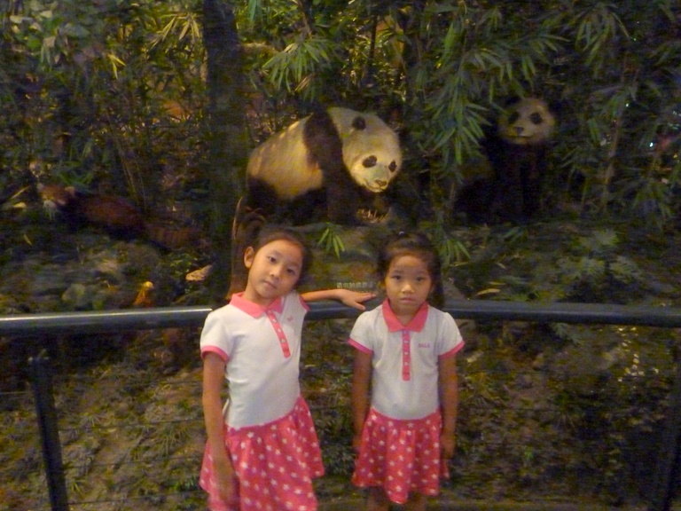 P1020987.JPG