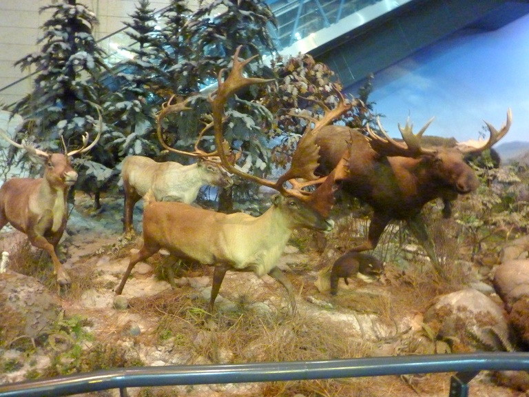 P1020998.JPG