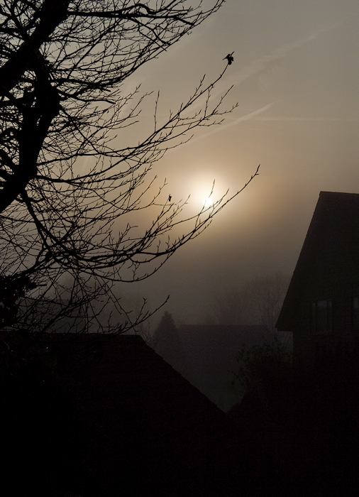 Hazy sun from the back door