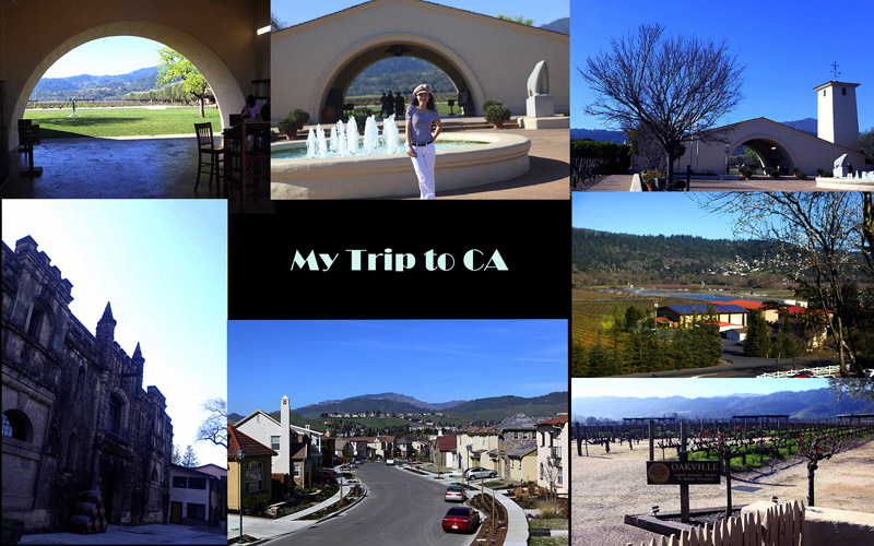 My CA Trip
