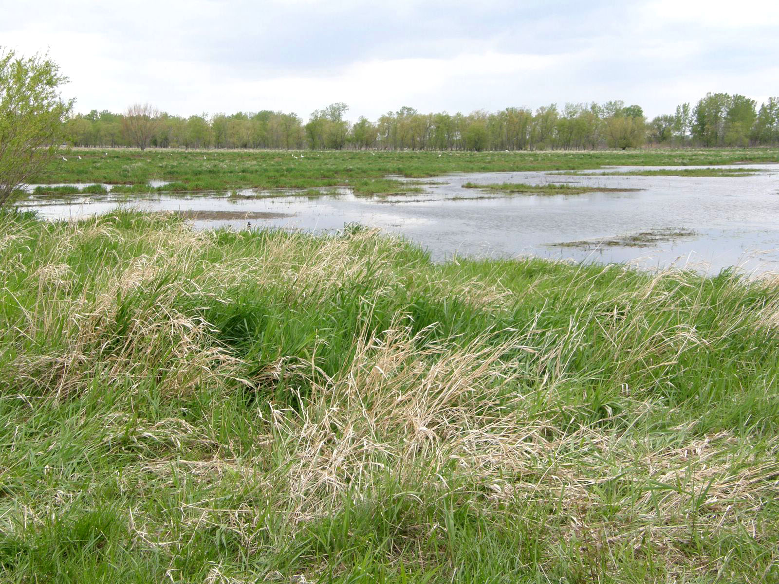Ottawa NWR