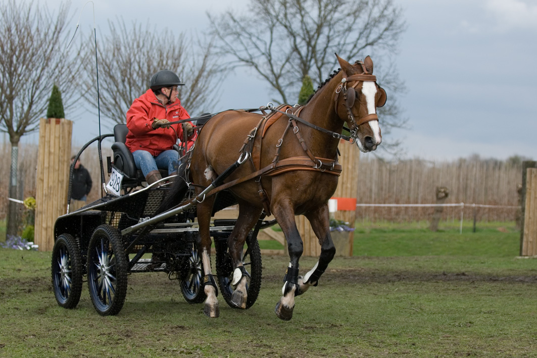 Ans van der Velden