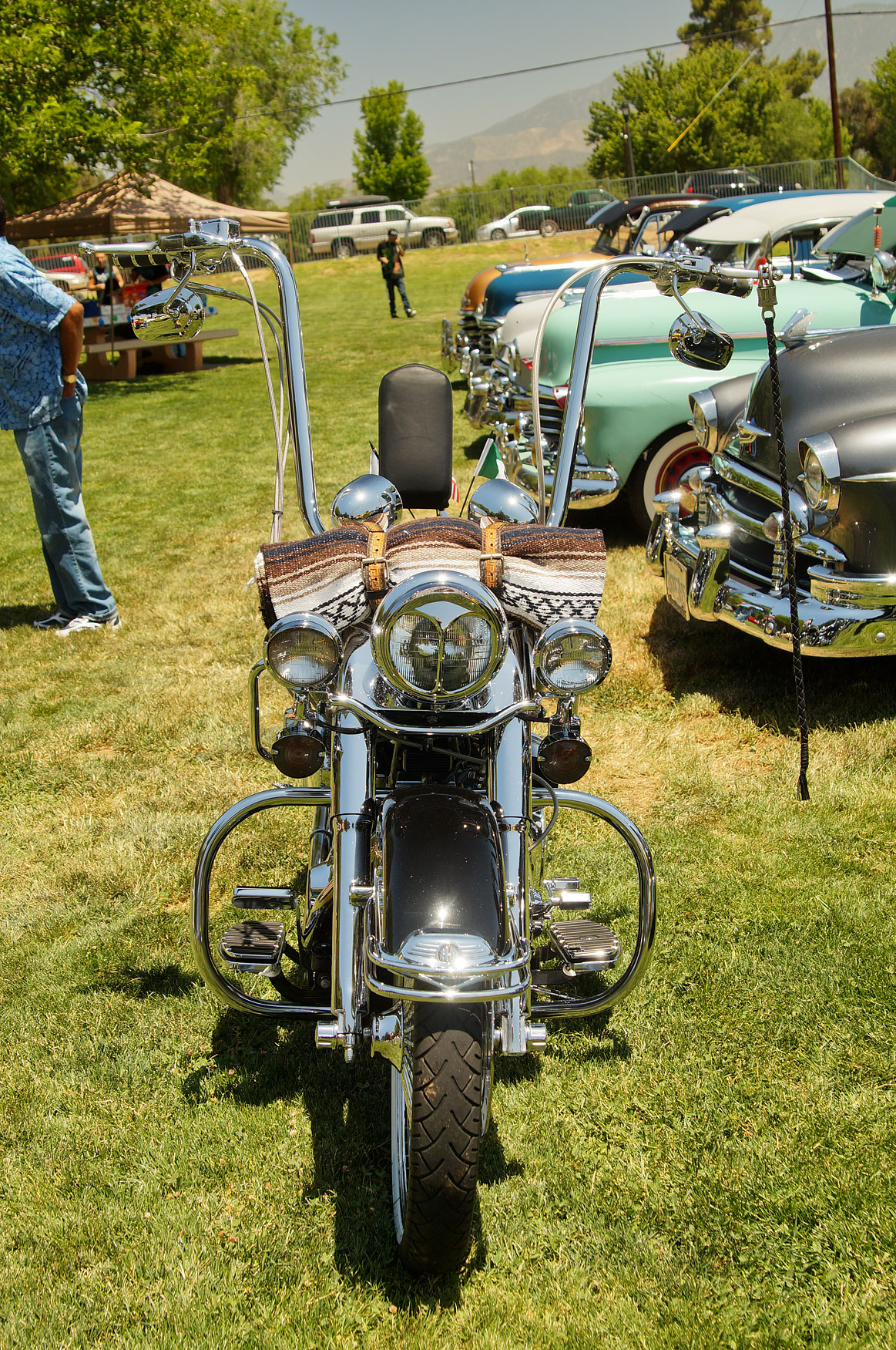 DSC01155.jpg