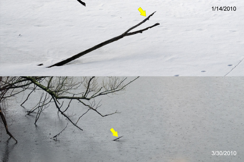Canada Pond water level