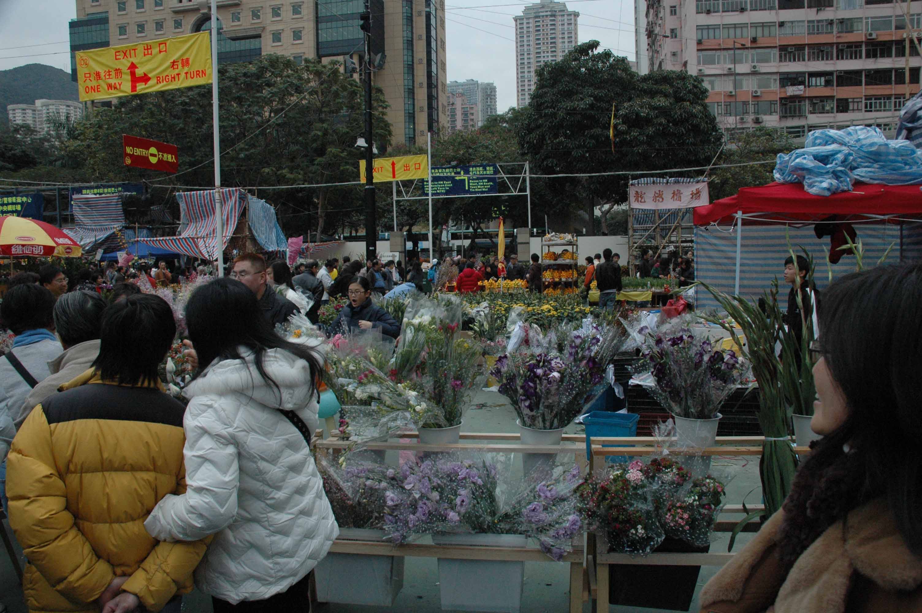 DSC_0007.JPG