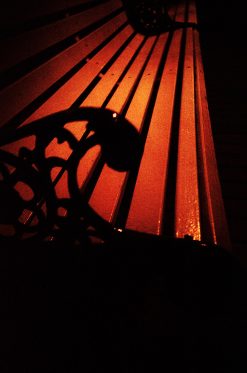 bench on Brighton Pier