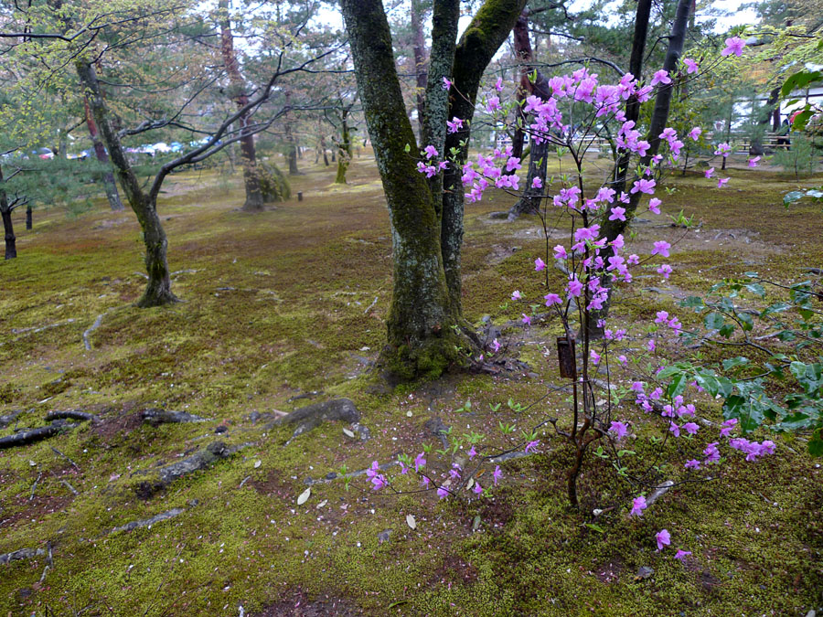 P1050004ap_edited-2.jpg