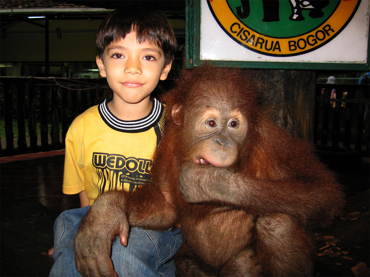 Taman Safari Bogor/Puncak Indonesia