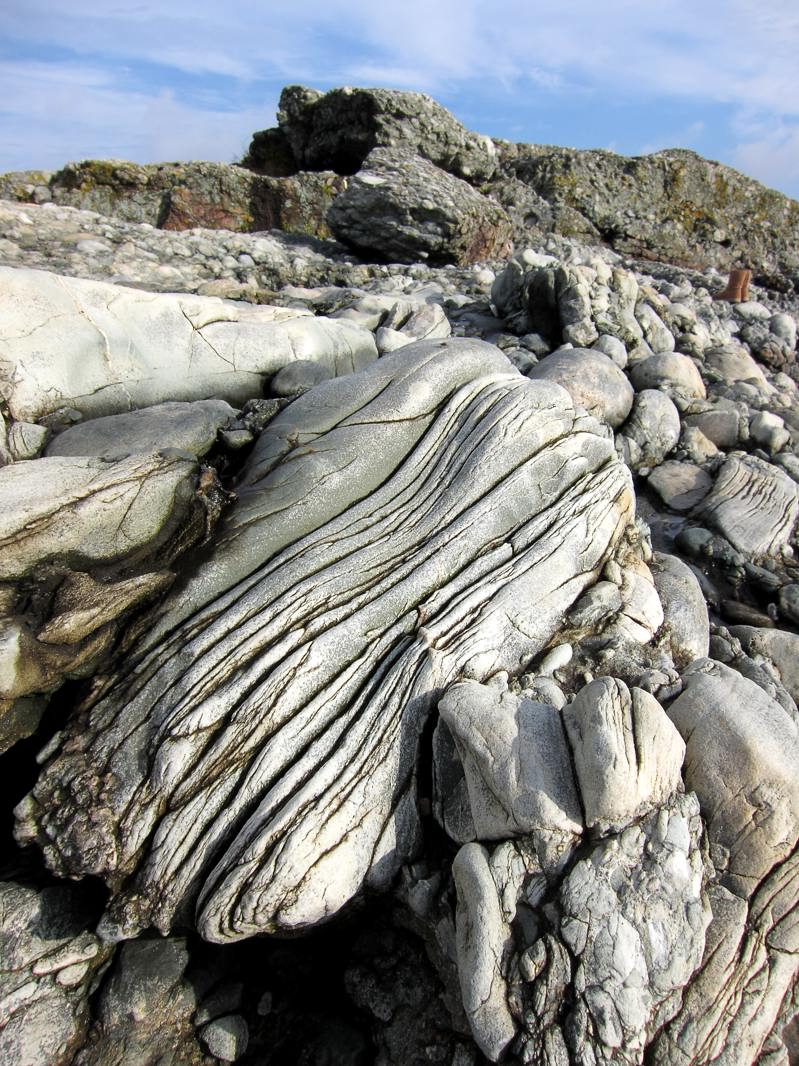pbase S October 10 2009 2nd beach Middletown RI IMG_0028.jpg