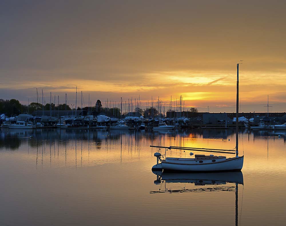 pbase periwinkle sunrise  4038  May 3 2011  1 of 1.jpg