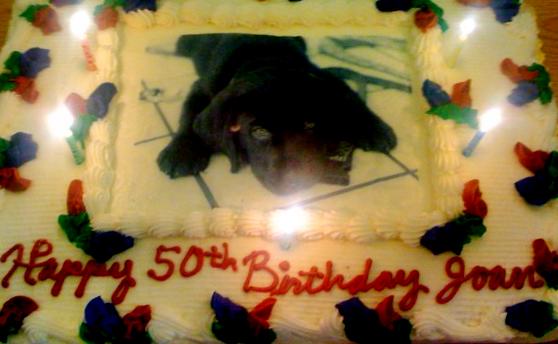 pbase Moki as a birthday cake.jpg
