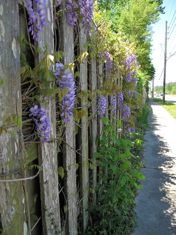 Fence