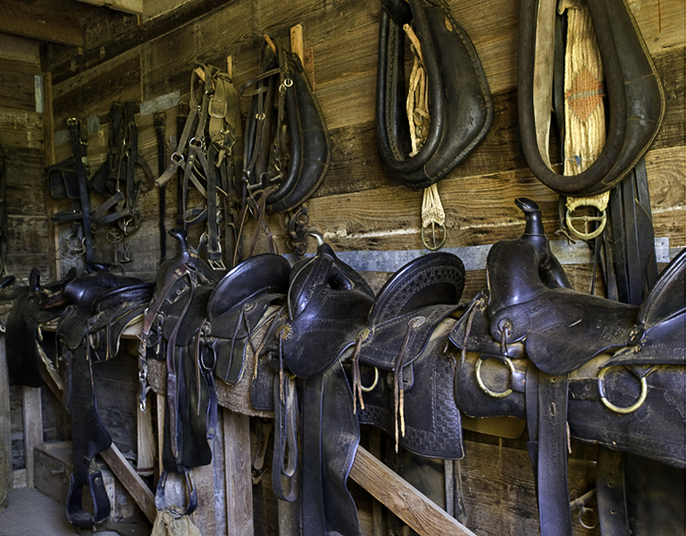 Saddles #2