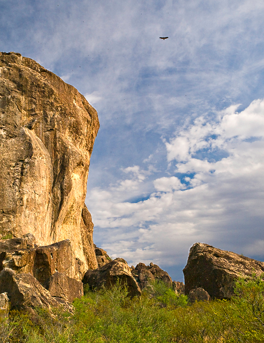 Rock cliff and eagle, Hueco Tanks State Park