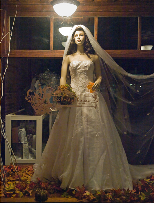 Window display, Bastrop Texas