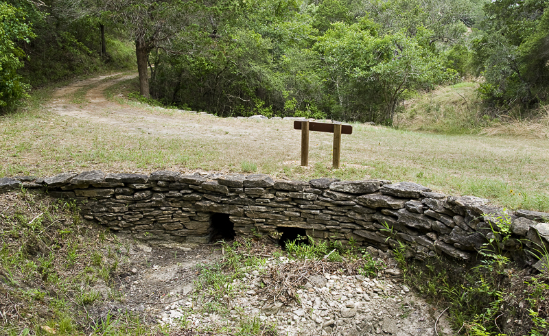 IMGP0010