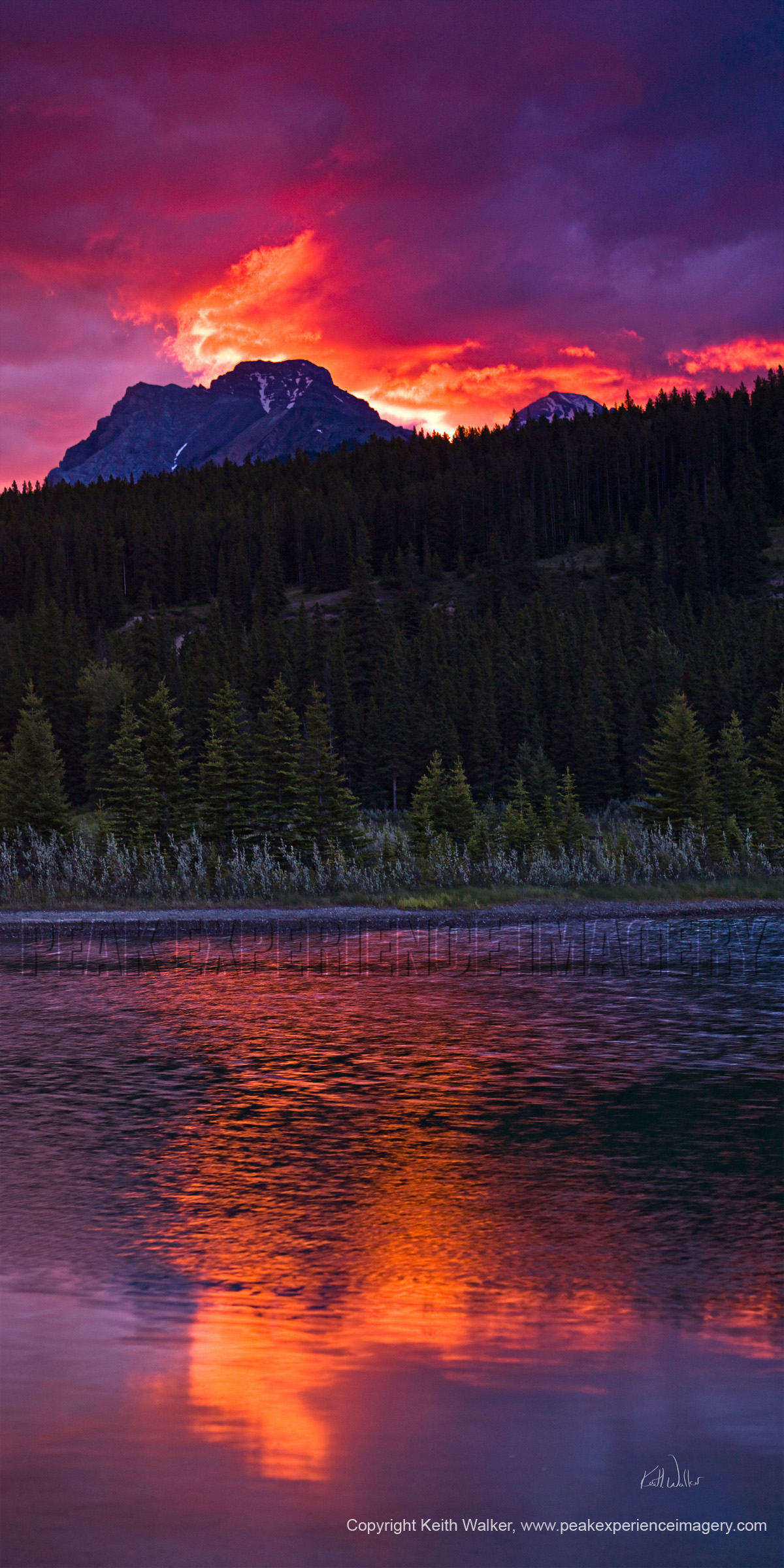 Mountainscape XXIX - 24x48.jpg