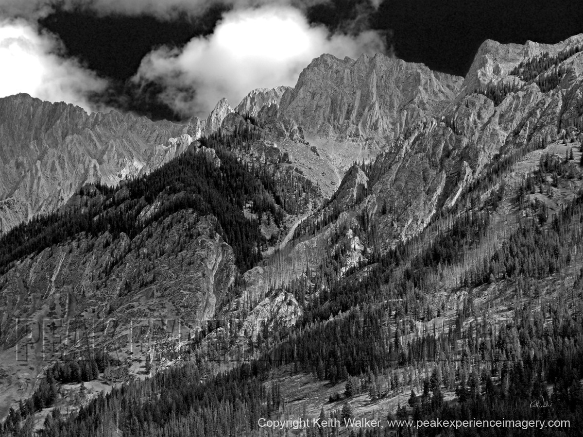 Mountainscape XXV - B&W - 48x36.jpg