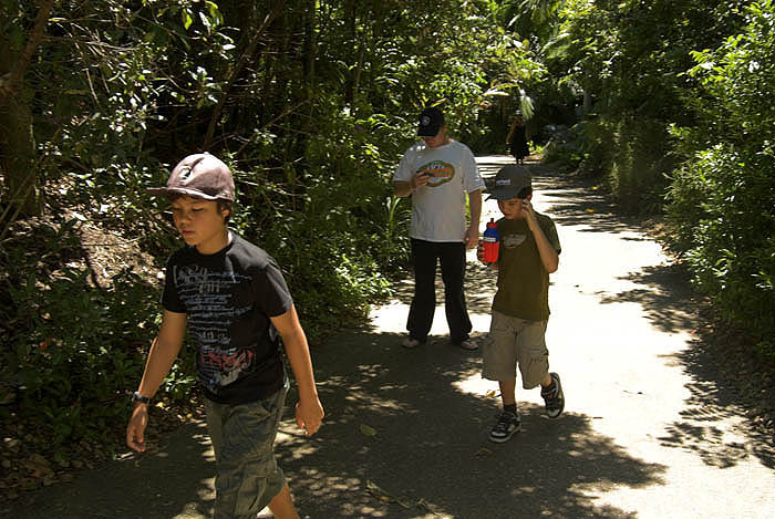 Roma St Gardens, Brisbane,Dec 2008