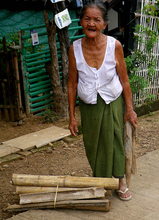 Collecting wood