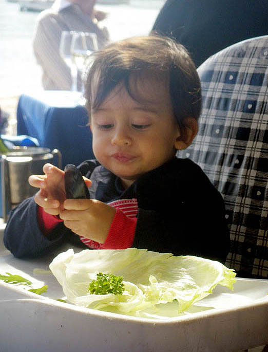Baby Ace examines a mussel