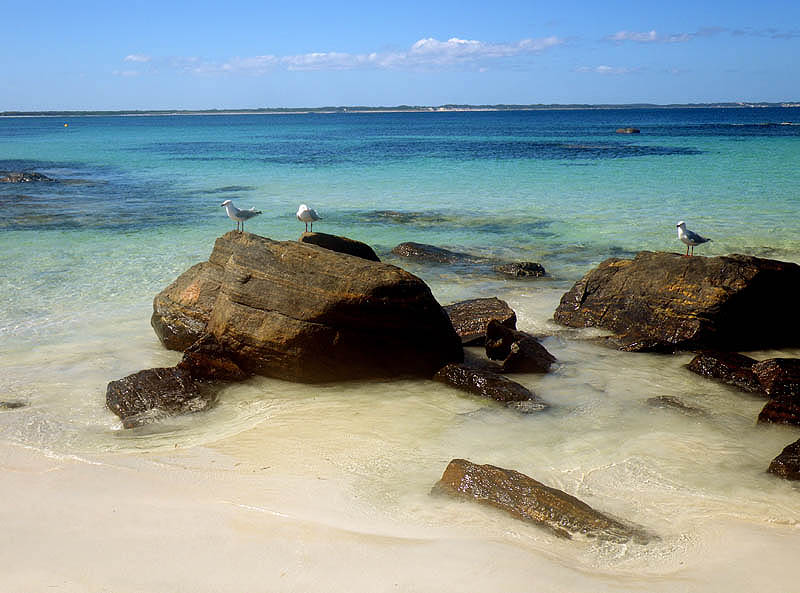 Flinders Bay , near Augusta and Cape Leeuwin