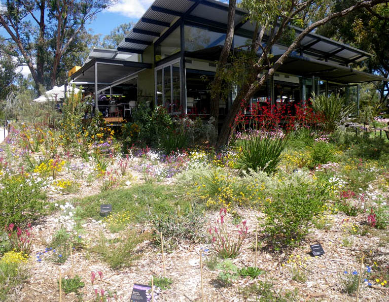 Kings Park, Perth,  Synergy Lake Restaurant