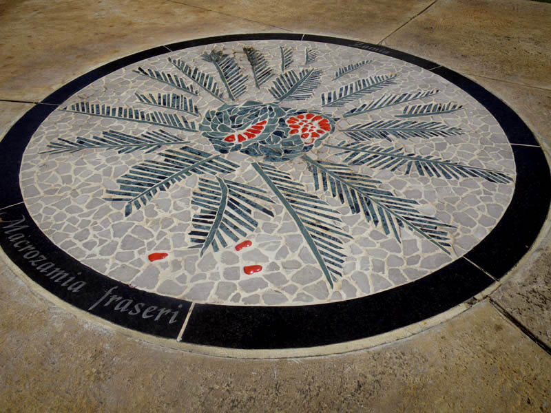 Kings Park, Perth Synergy recreation area mosaic